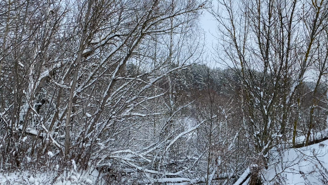 东北雪景风景空镜