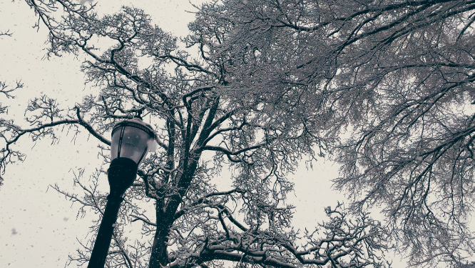 东北雪景风景空镜