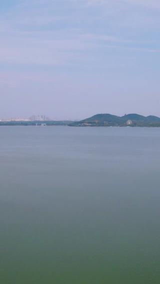 航拍武汉东湖5A景区竖屏