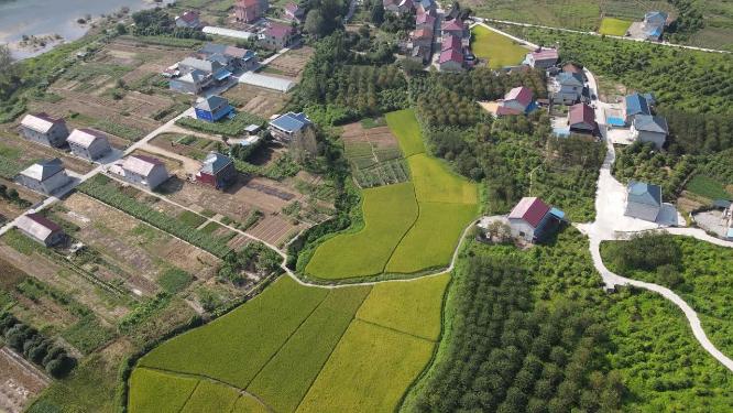 美丽乡村农田农业种植航拍