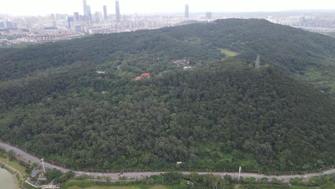 航拍南宁青秀山5A景区