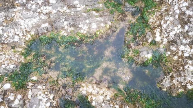 实拍大海海浪沙滩