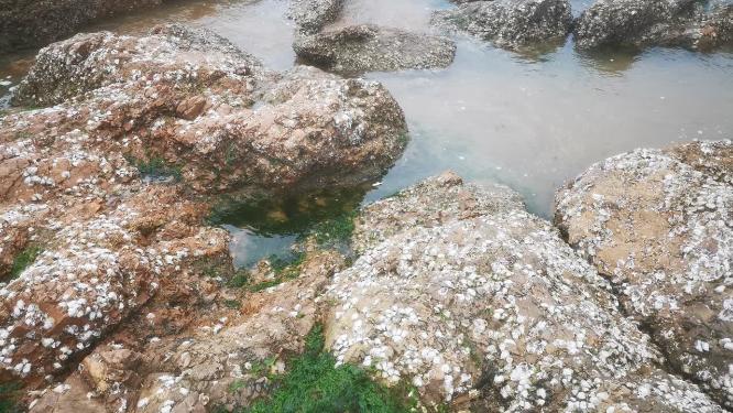 实拍大海海浪沙滩