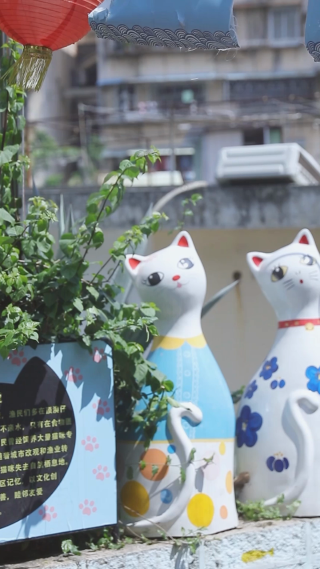 竖屏猫咪精品店快闪混剪